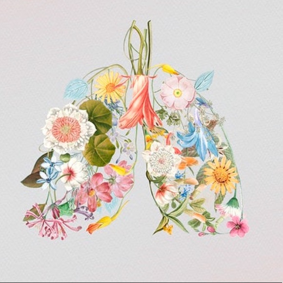 Meet your Posher, Brooke - Picture 1 of 1